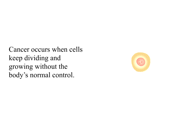 Cancer occurs when cells keep dividing and growing without the body's normal control.