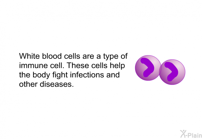 White blood cells are a type of immune cell. These cells help the body fight infections and other diseases.