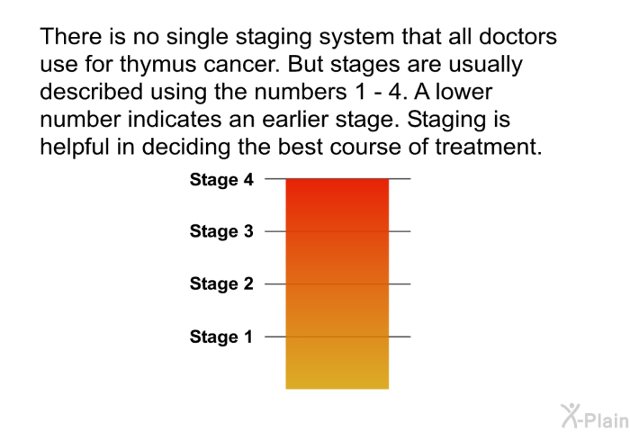 There is no single staging system that all doctors use for thymus cancer. But stages are usually described using the numbers 1 - 4. A lower number indicates an earlier stage. Staging is helpful in deciding the best course of treatment.