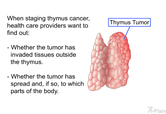When staging thymus cancer, health care providers want to find out:  Whether the tumor has invaded tissues outside the thymus. Whether the tumor has spread and, if so, to which parts of the body.