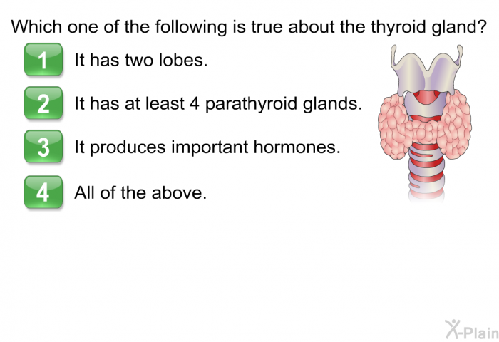 Which one of the following is true about the thyroid gland?  It has two lobes. It has at least 4 parathyroid glands. It produces important hormones. All of the above.
