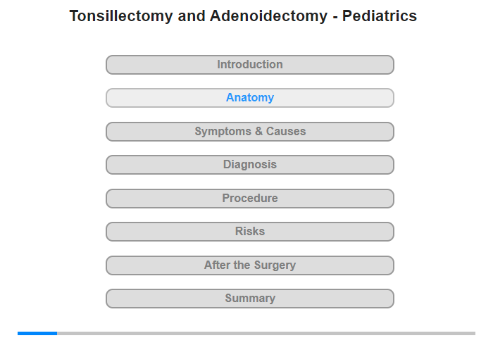 Anatomy