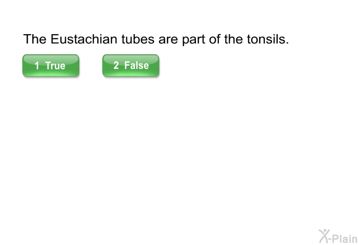 The Eustachian tubes are part of the tonsils.