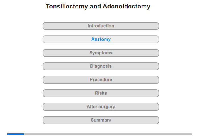 Anatomy