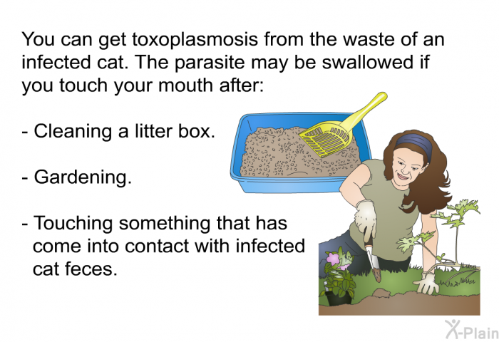 You can get toxoplasmosis from the waste of an infected cat. The parasite may be swallowed if you touch your mouth after:  Cleaning a litter box. Gardening. Touching something that has come into contact with infected cat feces.