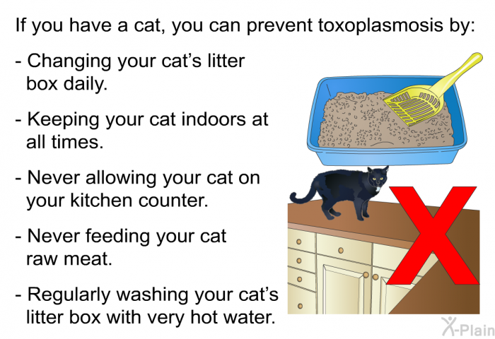 If you have a cat, you can prevent toxoplasmosis by:  Changing your cat's litter box daily. Keeping your cat indoors at all times. Never allowing your cat on your kitchen counter. Never feeding your cat raw meat. Regularly washing your cat's litter box with very hot water.