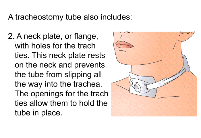 A tracheostomy tube also includes:  A neck plate, or flange, with holes for the trach ties. This neck plate rests on the neck and prevents the tube from slipping all the way into the trachea. The openings for the trach ties allow them to hold the tube in place.