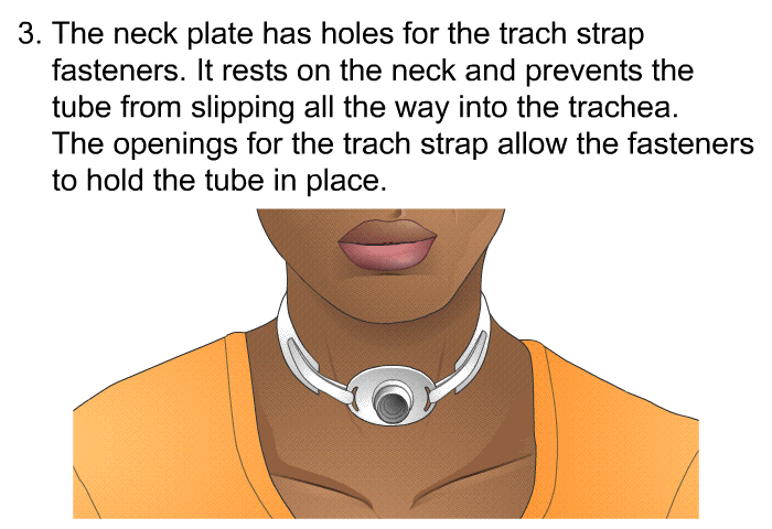The neck plate has holes for the trach strap fasteners. It rests on the neck and prevents the tube from slipping all the way into the trachea. The openings for the trach strap allow the fasteners to hold the tube in place.