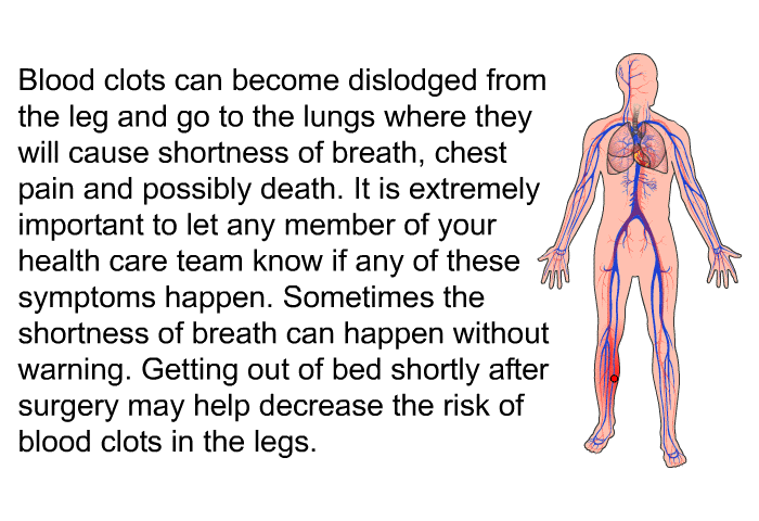 Blood clots can become dislodged from the leg and go to the lungs where they will cause shortness of breath, chest pain and possibly death. It is extremely important to let any member of your health care team know if any of these symptoms happen. Sometimes the shortness of breath can happen without warning. Getting out of bed shortly after surgery may help decrease the risk of blood clots in the legs.