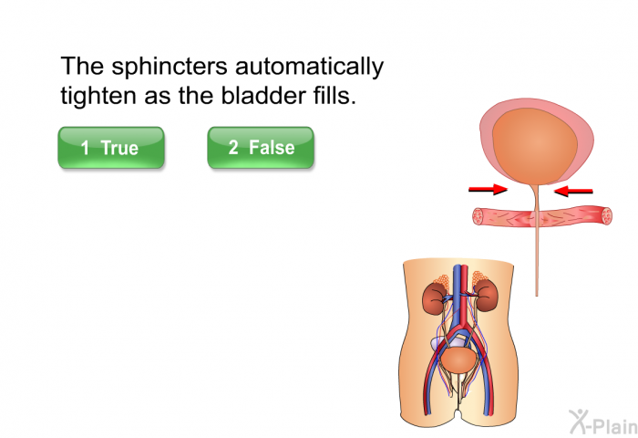 The sphincters automatically tighten as the bladder fills. Press True or False.