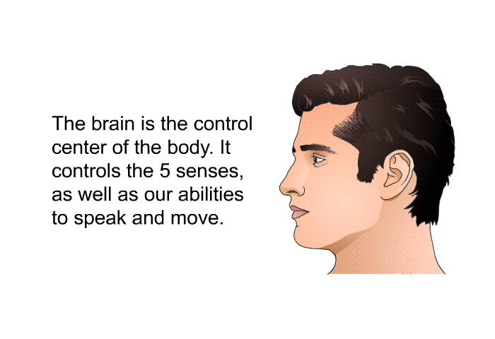 The brain is the control center of the body. It controls the 5 senses, as well as our abilities to speak and move.