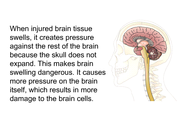 When injured brain tissue swells, it creates pressure against the rest of the brain because the skull does not expand. This makes brain swelling dangerous. It causes more pressure on the brain itself, which results in more damage to the brain cells.