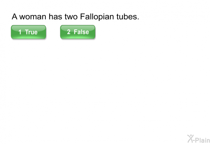 A woman has two Fallopian tubes. Select True or False.