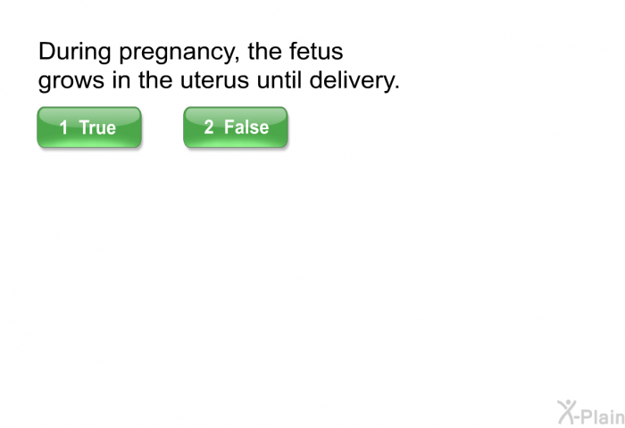 During pregnancy, the fetus grows in the uterus until delivery.