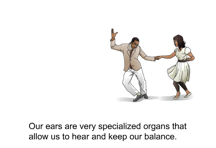 Our ears are very specialized organs that allow us to hear and keep our balance.