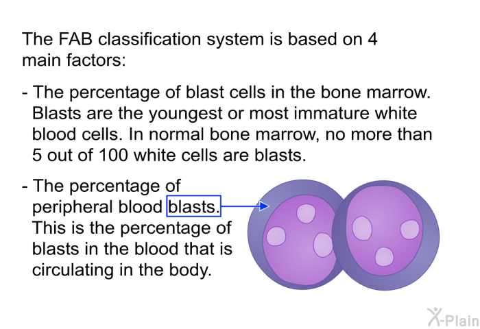 The FAB classification system is based on 4 main factors:  The percentage of blast cells in the bone marrow. Blasts are the youngest or most immature white blood cells. In normal bone marrow, no more than 5 out of 100 white cells are blasts.   The percentage of peripheral blood blasts. This is the percentage of blasts in the blood that is circulating in the body.