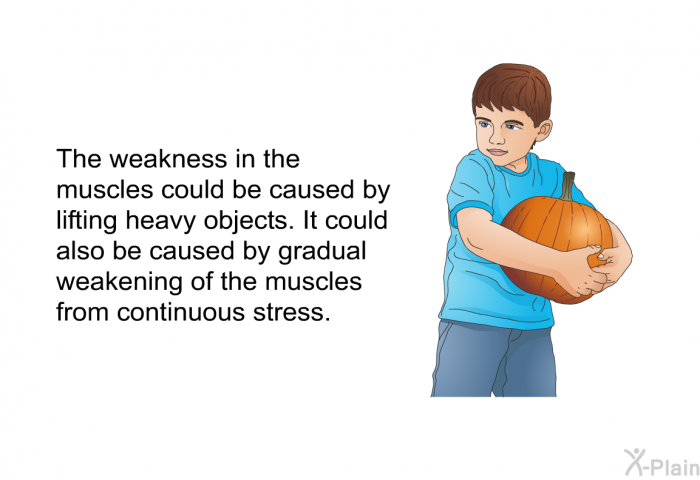 The weakness in the muscles could be caused by lifting heavy objects. It could also caused by gradual weakening of the muscles from continuous stress.