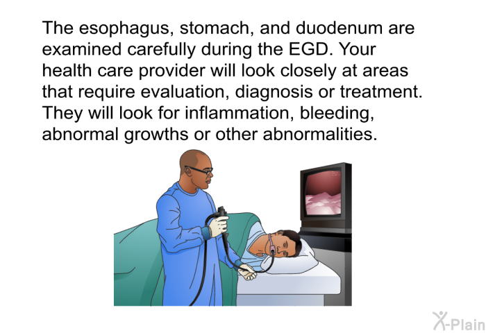The esophagus, stomach, and duodenum are examined carefully during the EGD. Your health care provider will look closely at areas that require evaluation, diagnosis or treatment. They will look for inflammation, bleeding, abnormal growths or other abnormalities.