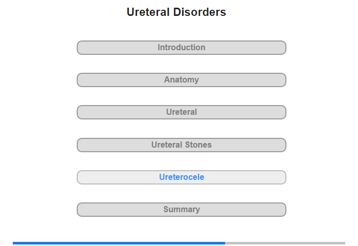 Ureterocele