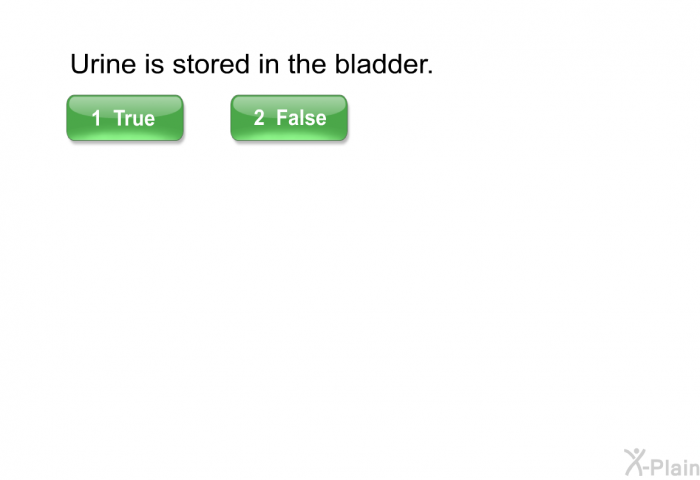 Urine is stored in the bladder.