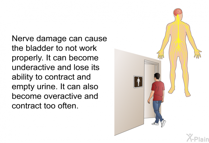 Nerve damage can cause the bladder to not work properly. It can become underactive and lose its ability to contract and empty urine. It can also become overactive and contract too often.