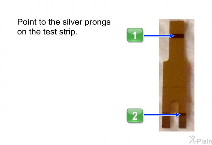 Point to the silver prongs on the test strip.
