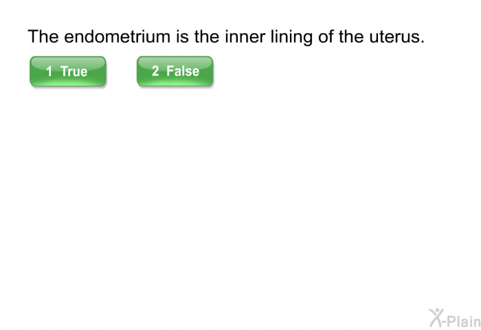 The endometrium is the inner lining of the uterus.