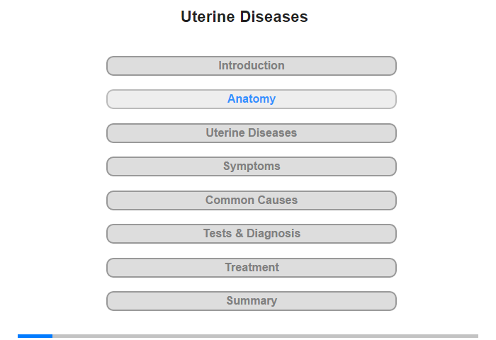 Anatomy of the Uterus