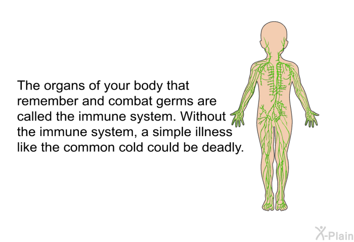 The organs of your body that remember and combat germs are called the immune system. Without the immune system, a simple illness like the common cold could be deadly.