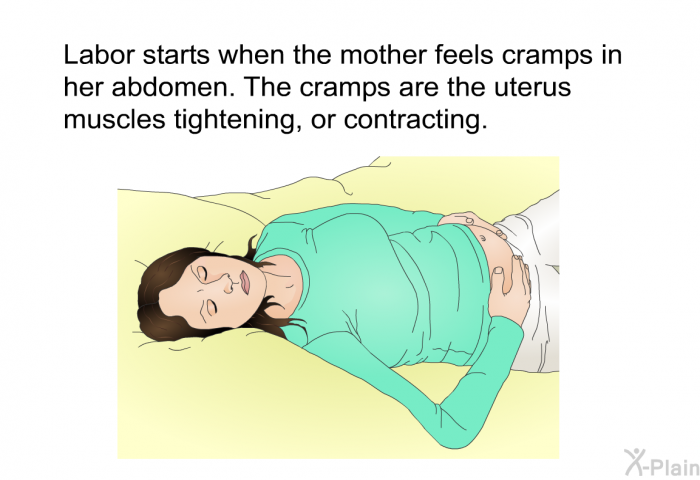 Labor starts when the mother feels cramps in her abdomen. The cramps are the uterus muscles tightening, or contracting.