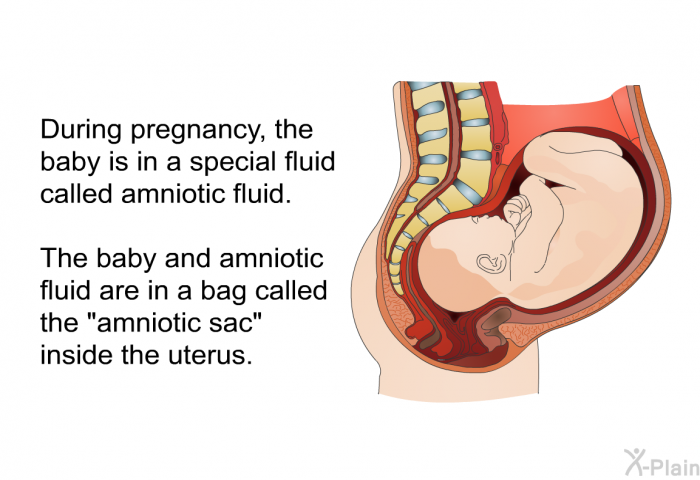 During pregnancy, the baby is in a special fluid called amniotic fluid. The baby and amniotic fluid are in a bag called the “amniotic sac” inside the uterus.