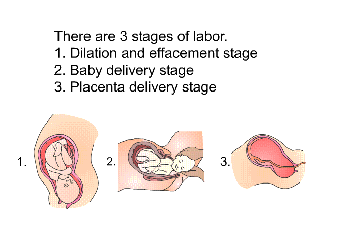 There are 3 stages of labor.  Dilation and effacement stage Baby delivery stage Placenta delivery stage