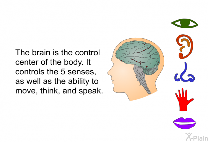 The brain is the control center of the body. It controls the 5 senses, as well as the ability to move, think, and speak.