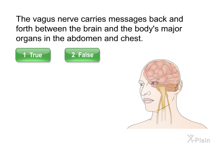 The vagus nerve carries messages back and forth between the brain and the body's major organs in the abdomen and chest. t/f