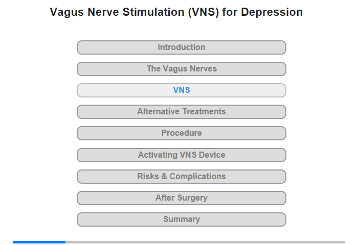 Vagus Nerve Stimulation (VNS)