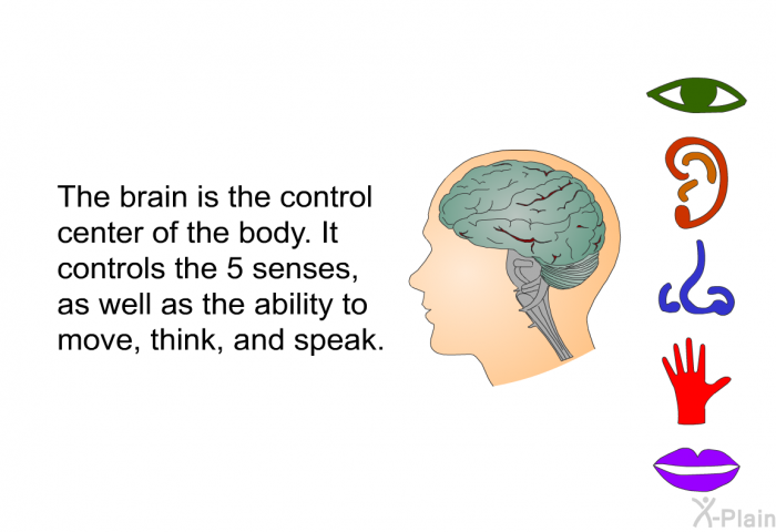 The brain is the control center of the body. It controls the 5 senses, as well as the ability to move, think, and speak.