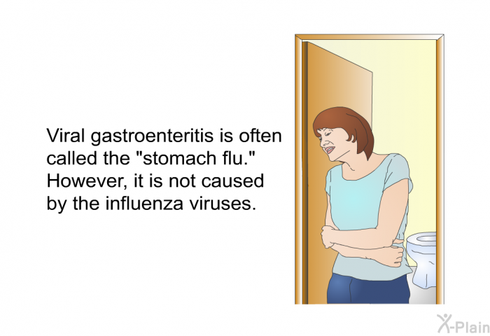 Viral gastroenteritis is often called the "stomach flu." However, it is not caused by the influenza viruses.