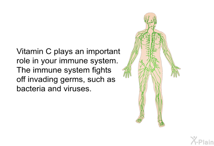 Vitamin C plays an important role in your immune system. The immune system fights off invading germs, such as bacteria and viruses.