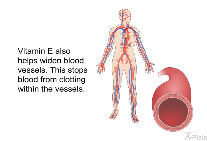 Vitamin E also helps widen blood vessels. This stops blood from clotting within the vessels.