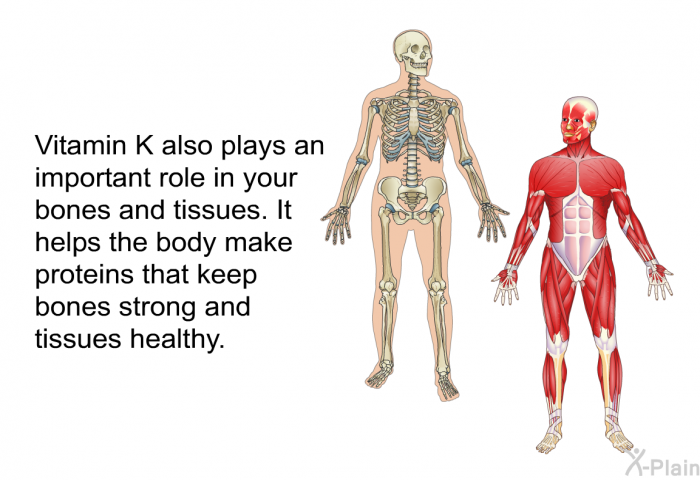 Vitamin K also plays an important role in your bones and tissues. It helps the body make proteins that keep bones strong and tissues healthy.