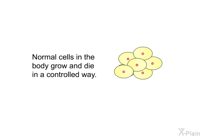 Normal cells in the body grow and die in a controlled way.