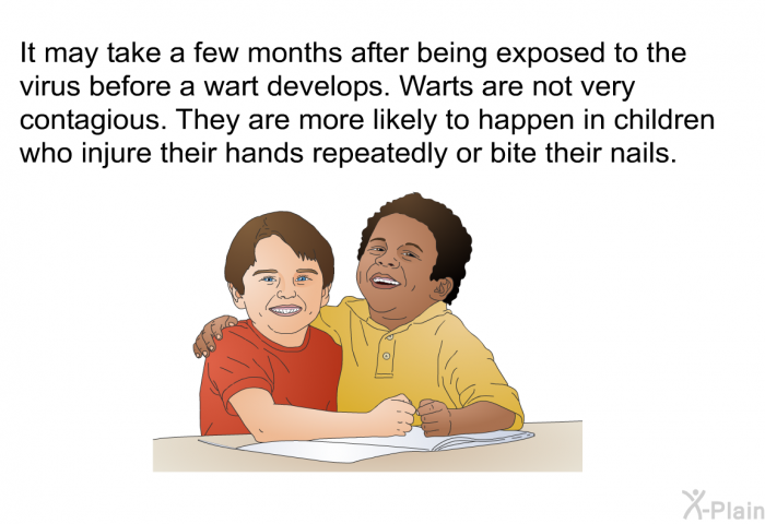 It may take a few months after being exposed to the virus before a wart develops. Warts are not very contagious. They are more likely to happen in children who injure their hands repeatedly or bite their nails.