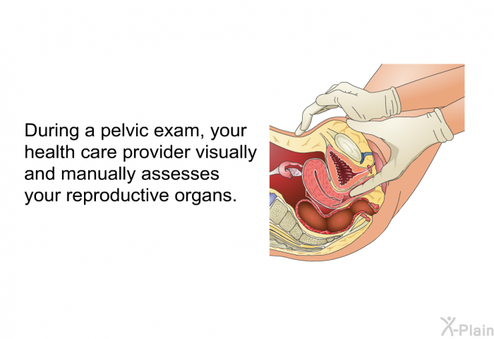 During a pelvic exam, your health care provider visually and manually assesses your reproductive organs.