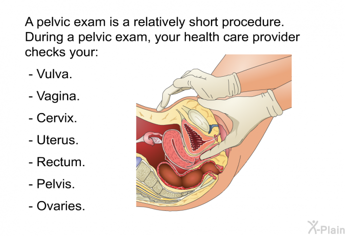 A pelvic exam is a relatively short procedure. During a pelvic exam, your health care provider checks your:  Vulva. Vagina. Cervix. Uterus. Rectum. Pelvis. Ovaries.