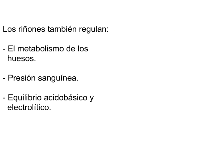 Los riones tambin regulan:  El metabolismo de los huesos. Presin sangunea. Equilibrio acidobsico y electroltico.
