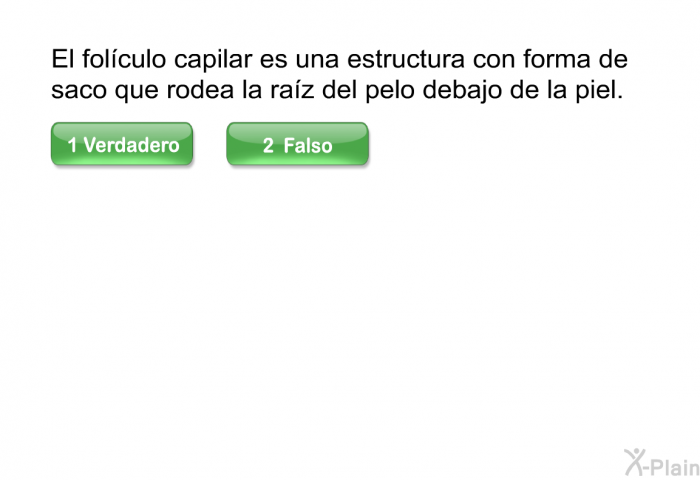 El folculo capilar es una estructura con forma de saco que rodea la raz del pelo debajo de la piel.