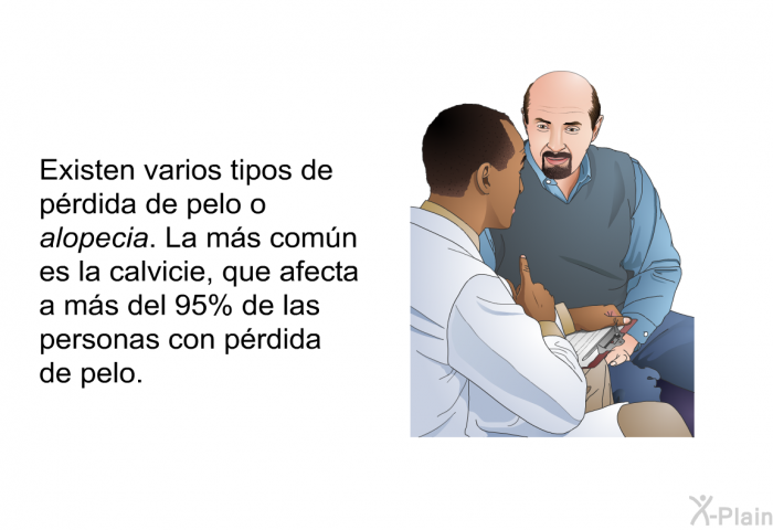 Existen varios tipos de prdida de pelo o alopecia. La ms comn es la calvicie, que afecta a ms del 95% de las personas con prdida de pelo.