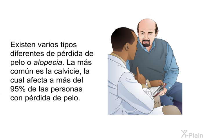 Existen varios tipos diferentes de p�rdida de pelo o alopecia. La m�s com�n es la calvicie, la cual afecta a m�s del 95% de las personas con p�rdida de pelo.