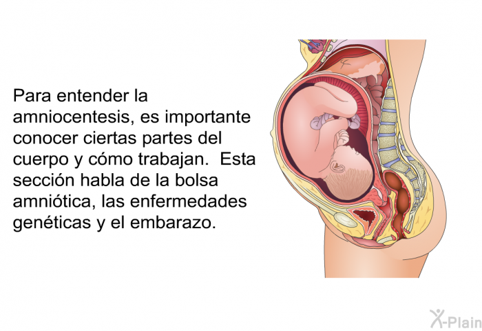 Para entender la amniocentesis, es importante conocer ciertas partes del cuerpo y cmo trabajan. Esta seccin habla de la bolsa amnitica, las enfermedades genticas y el embarazo.