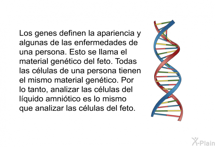 Los genes definen la apariencia y algunas de las enfermedades de una persona. Esto se llama el material gentico del feto. Todas las clulas de una persona tienen el mismo material gentico. Por lo tanto, analizar las clulas del lquido amnitico es lo mismo que analizar las clulas del feto.